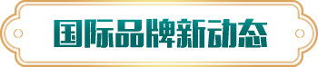 午夜成人APP在线下载新动态